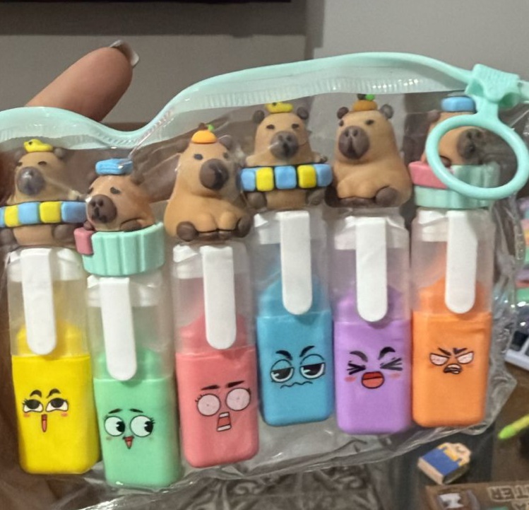 Kit 6 Marca Texto Capivara