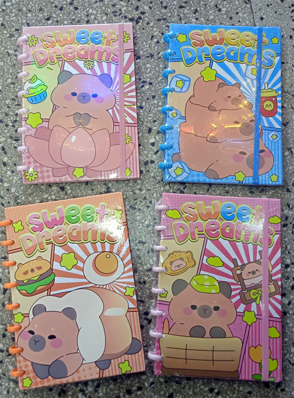 Caderno A5 8 Discos Capivara