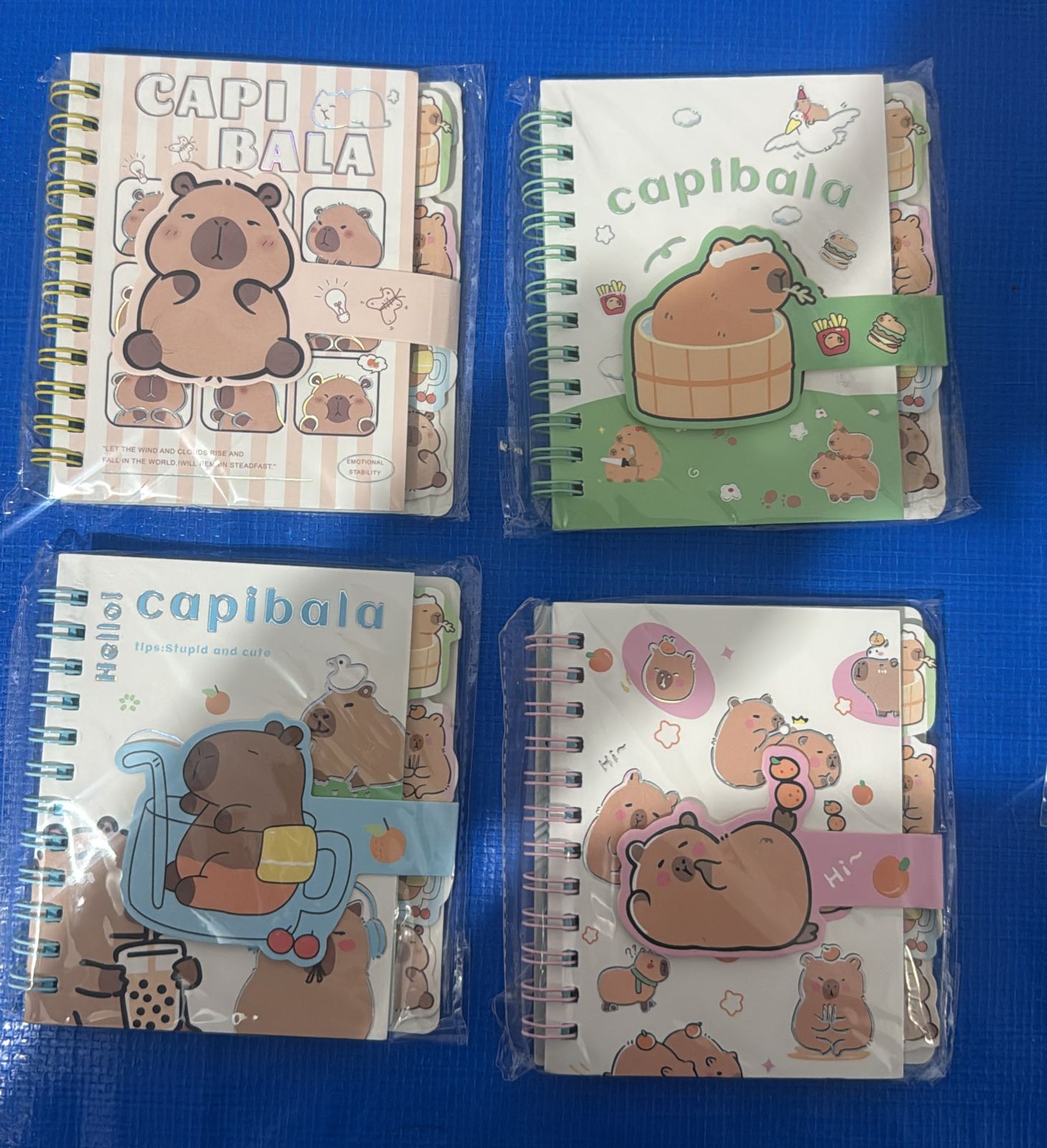 Mini Caderneta Capivara Decorada (unidade)