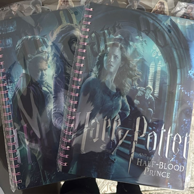 Caderno Harry Potter 3D Holográfico Divisórias A4
