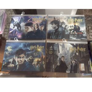 Pasta Organizadora Harry Potter