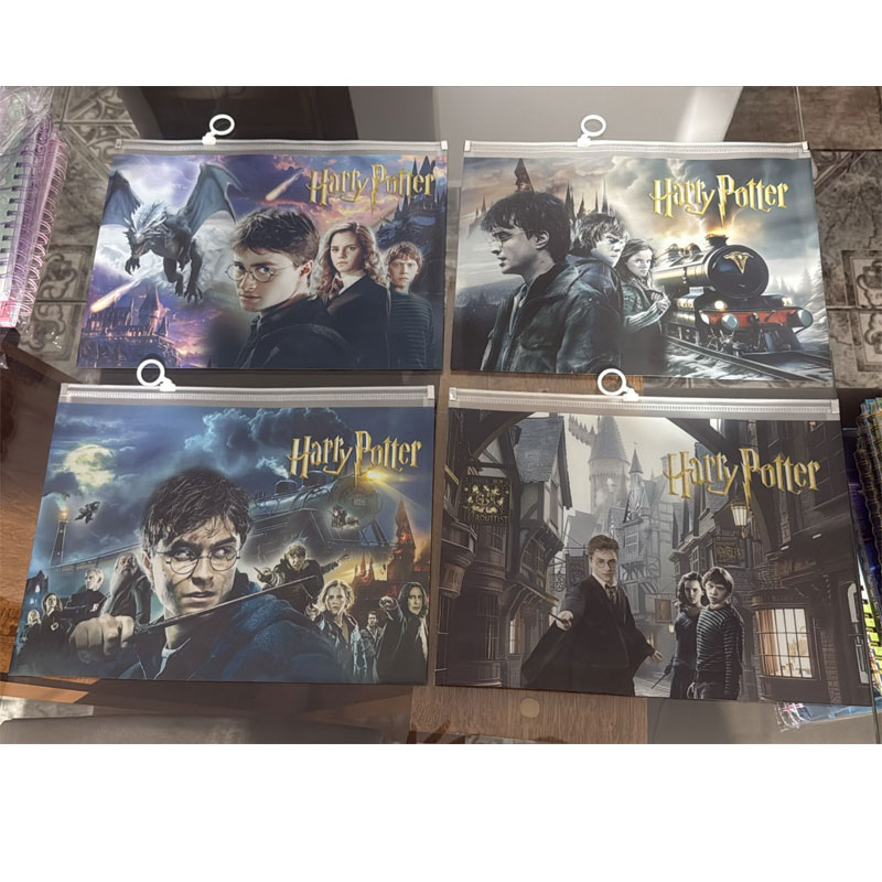 Pasta Organizadora Harry Potter