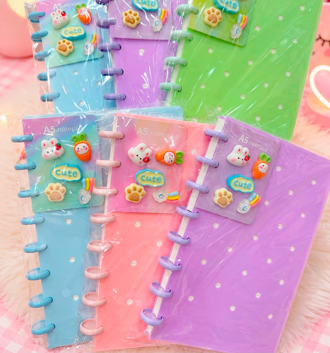 Caderno 8 Discos com Apliques (Uniso)