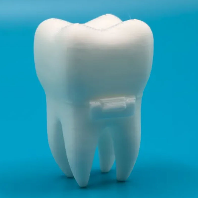 Kit 10 Porta Dente